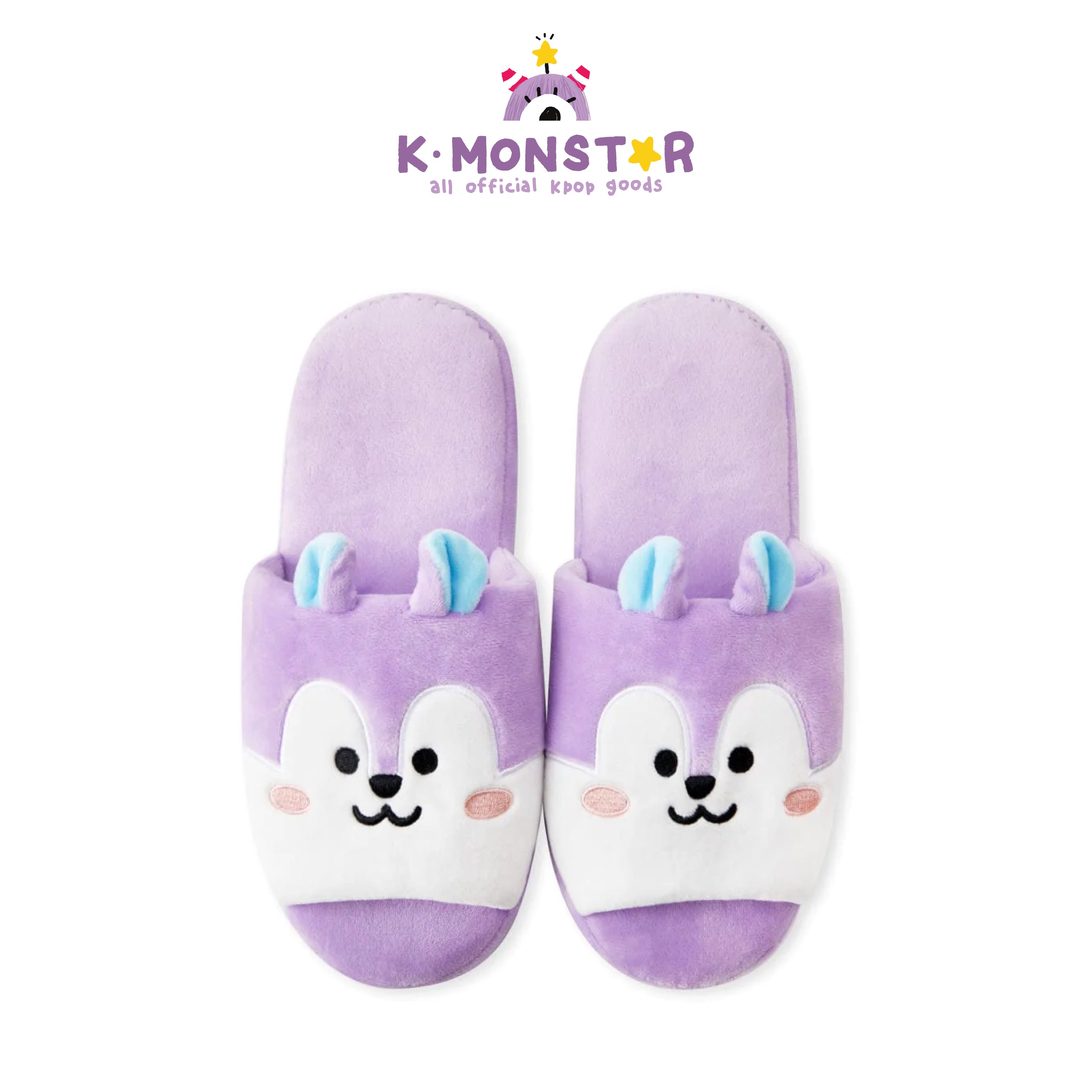 BT21 X Slippers