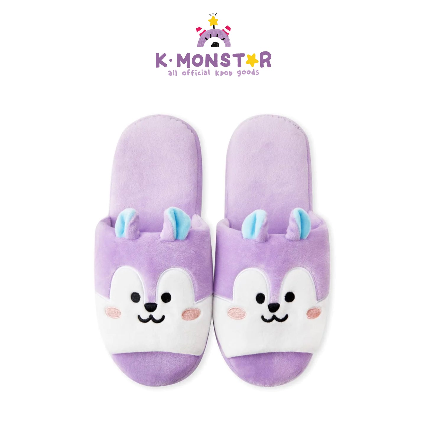 BT21 | inside MANG - HOUSE SLIPPERS