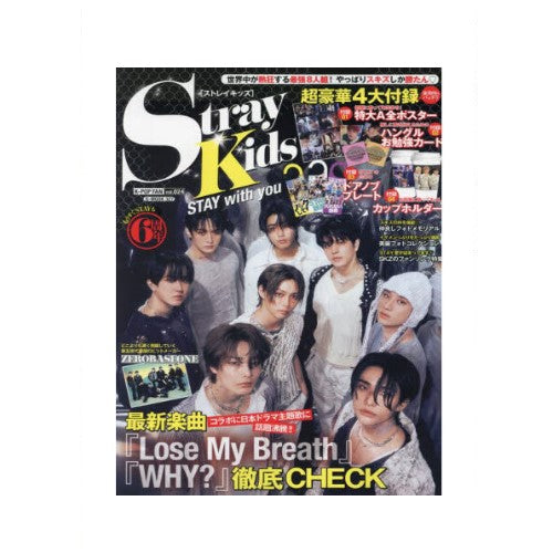 K-POP FAN V.24 | STRAY KIDS COVER