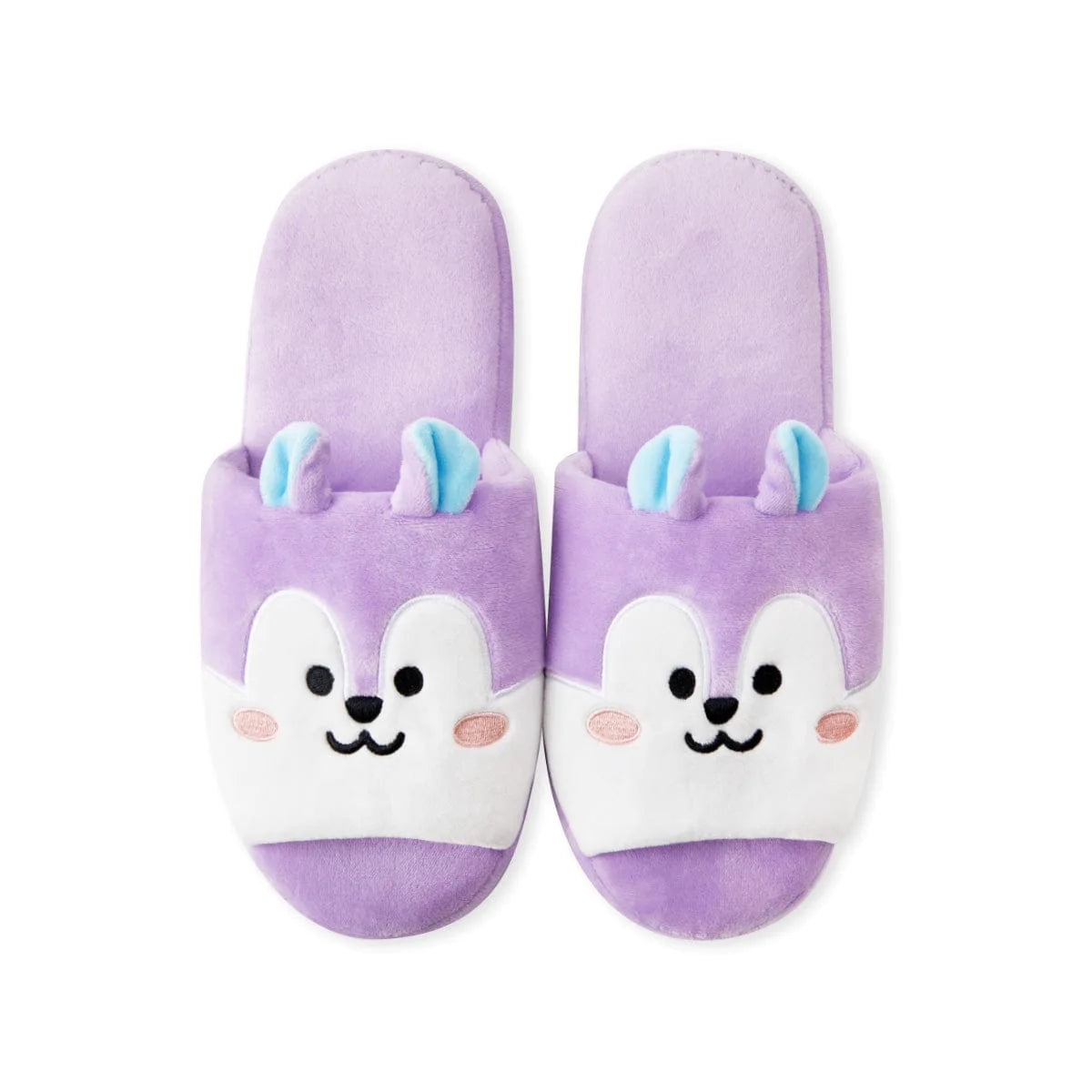 BT21 | inside MANG - HOUSE SLIPPERS