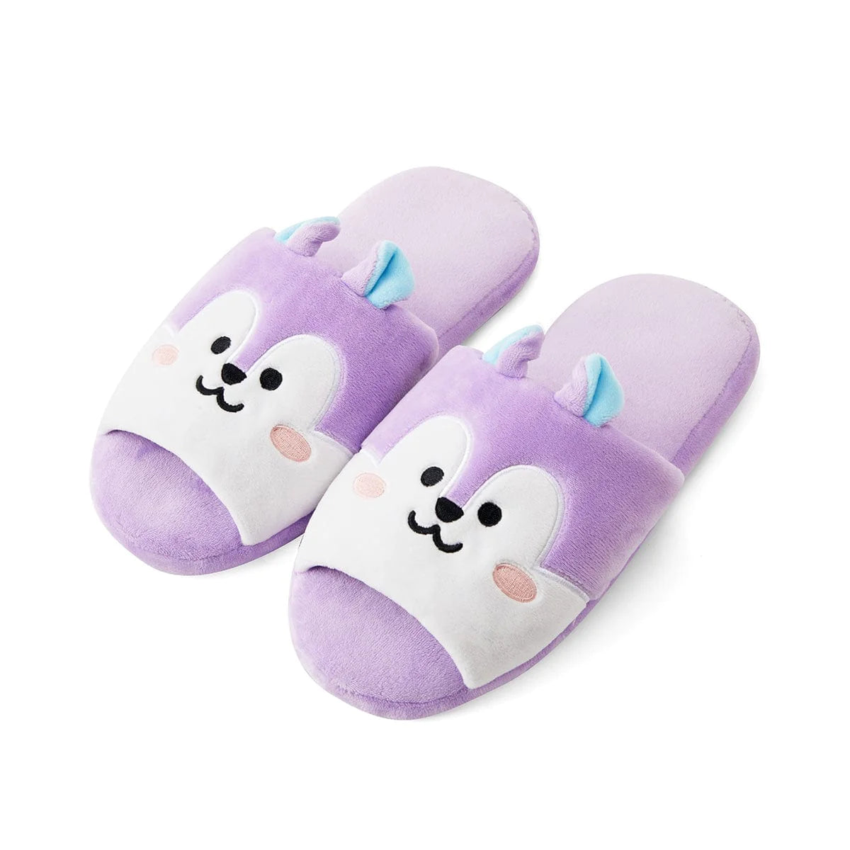 BT21 | inside MANG - HOUSE SLIPPERS