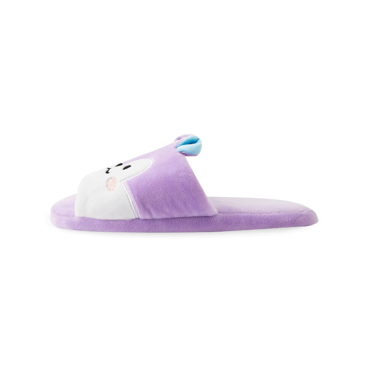 BT21 | inside MANG - HOUSE SLIPPERS