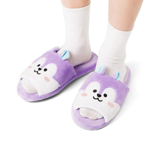 BT21 | inside MANG - HOUSE SLIPPERS