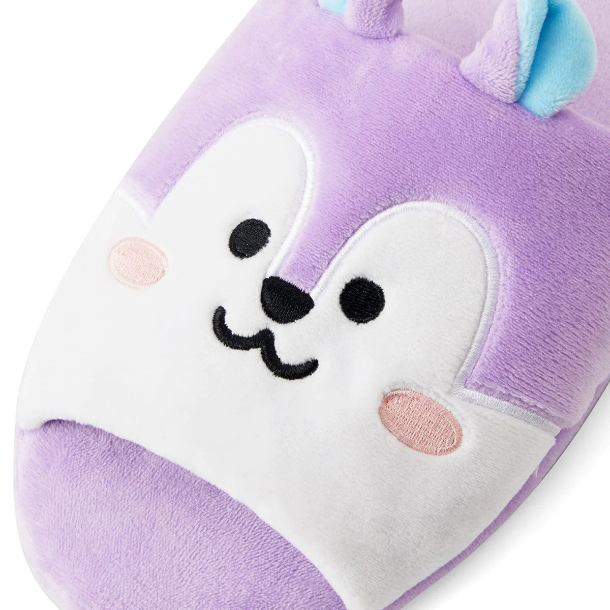 BT21 | inside MANG - HOUSE SLIPPERS