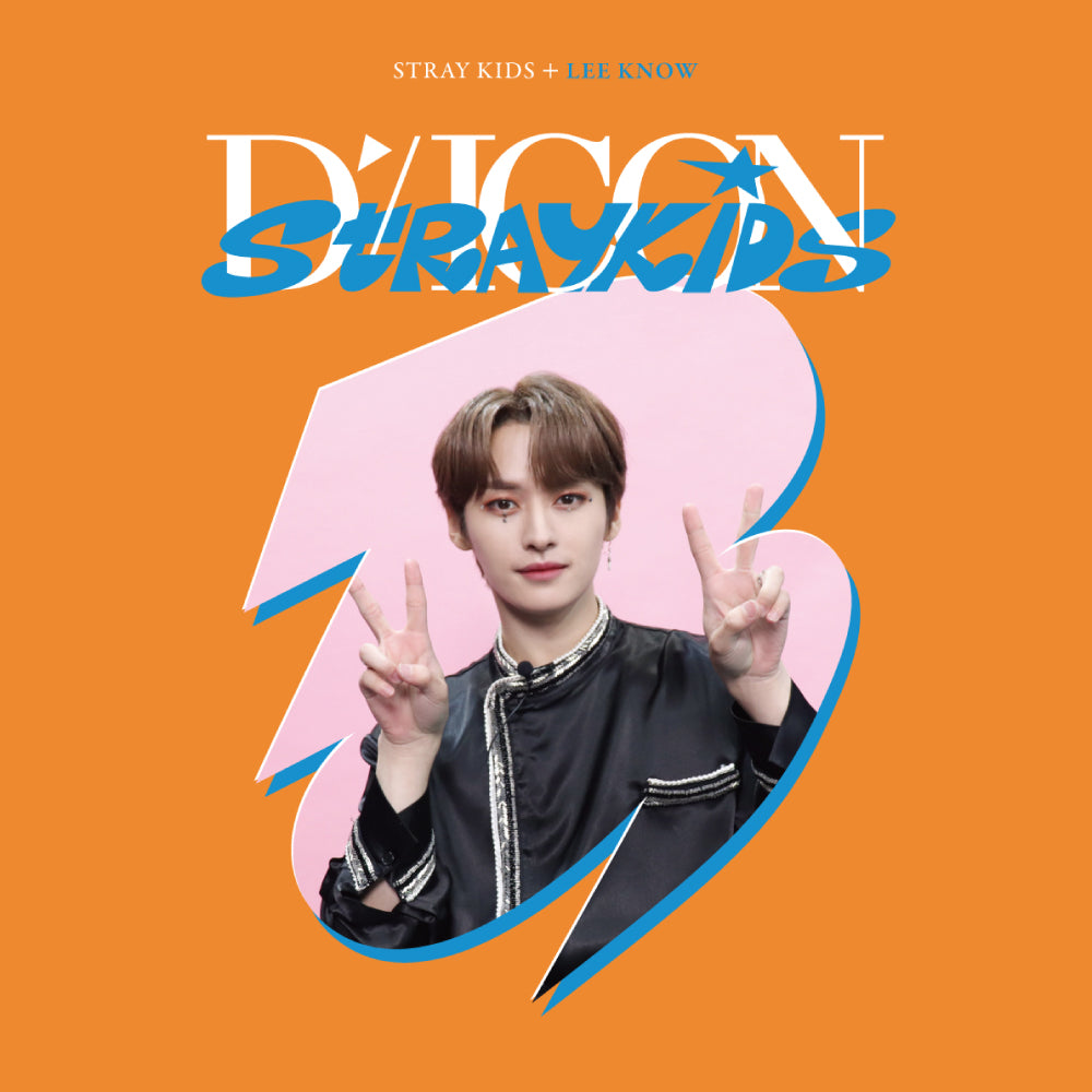 Stray Kids | Dispatch 10th Anniversary | DICON D'FESTA MINI EDITION Stray Kids