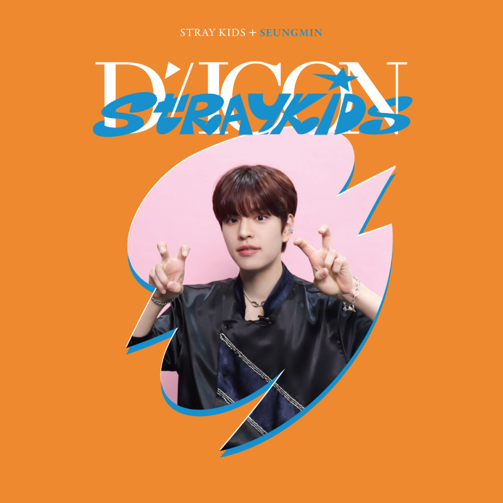 Stray Kids | Dispatch 10th Anniversary | DICON D'FESTA MINI EDITION Stray Kids