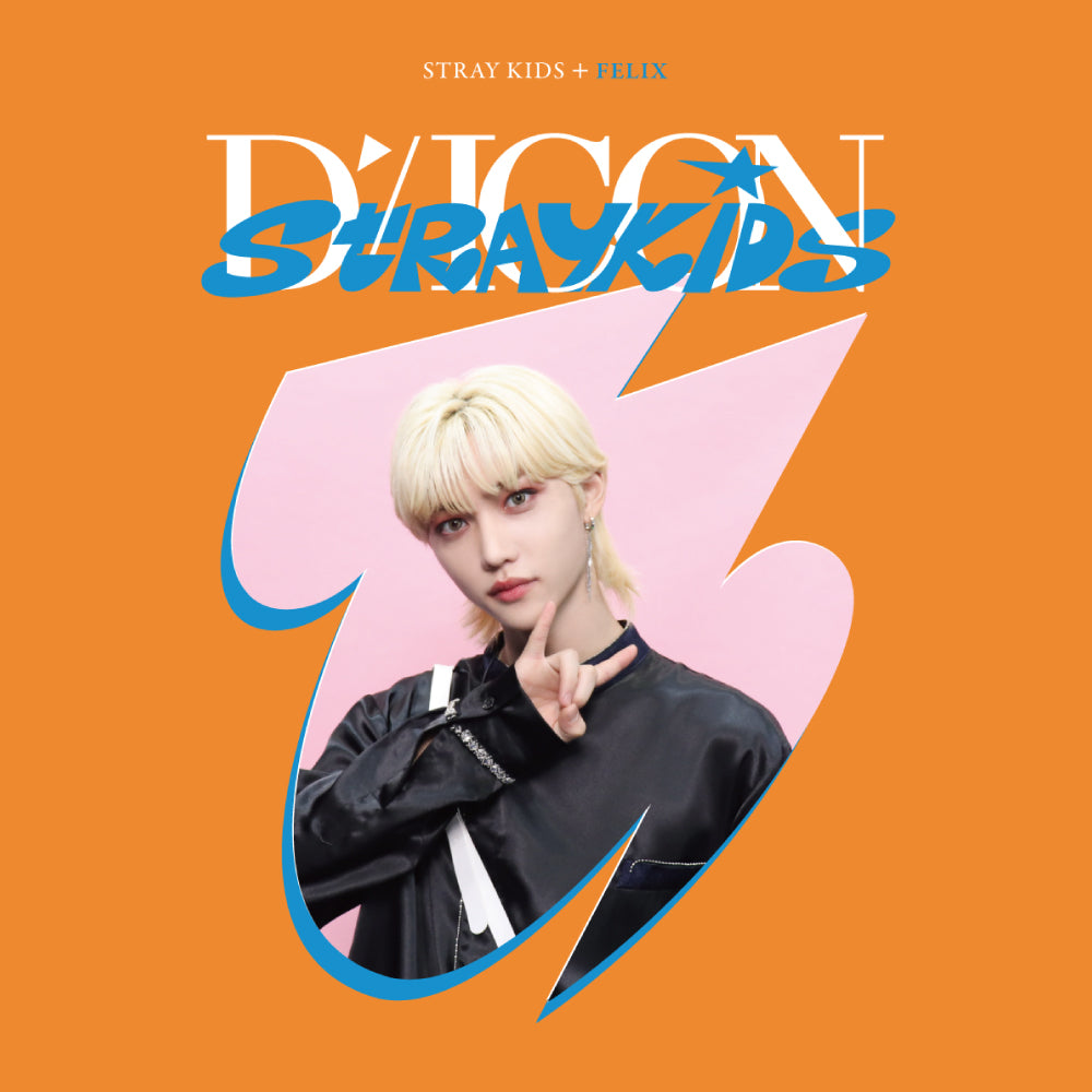 Stray Kids | Dispatch 10th Anniversary | DICON D'FESTA MINI EDITION Stray Kids