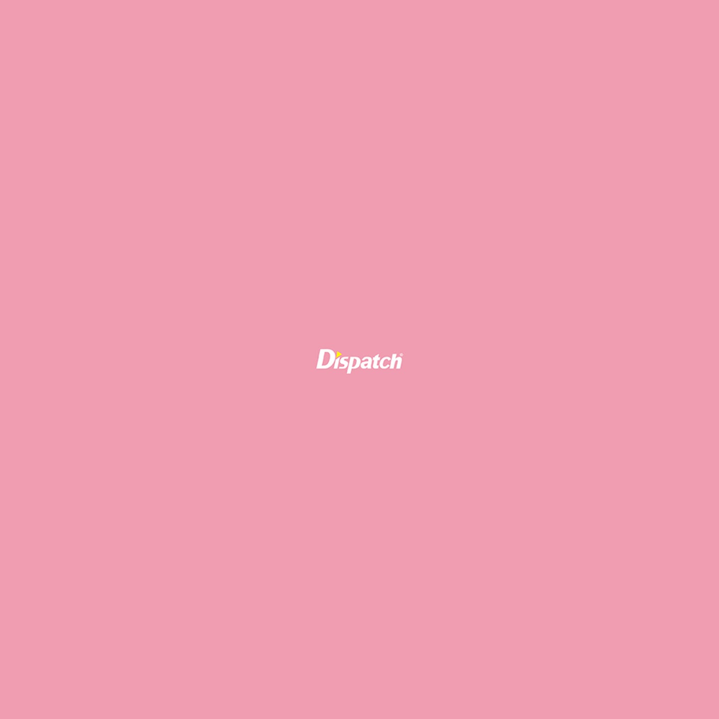 SEVENTEEN | Dispatch 10th Anniversary | DICON D'FESTA MINI EDITION SEVENTEEN
