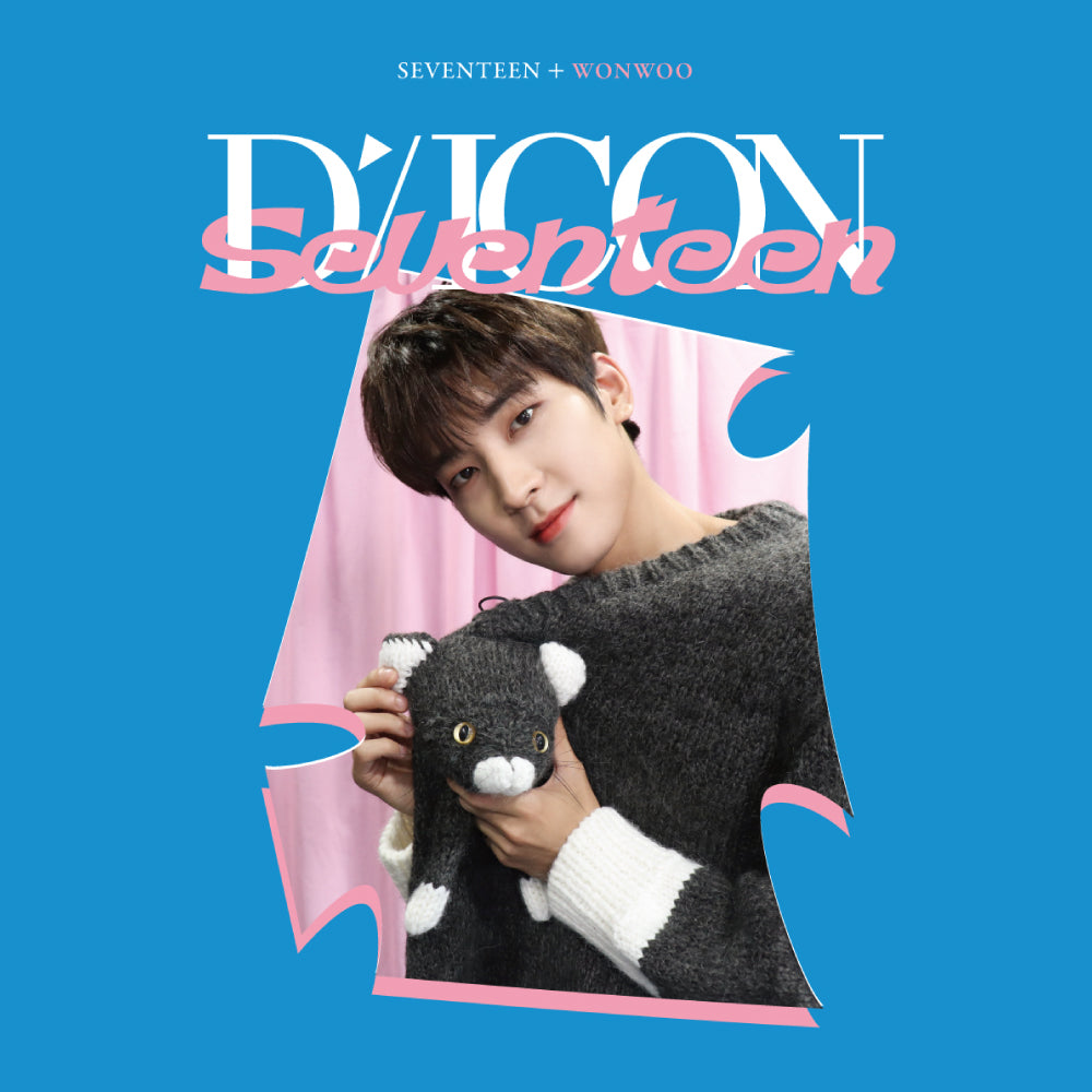 SEVENTEEN | Dispatch 10th Anniversary | DICON D'FESTA MINI EDITION SEVENTEEN