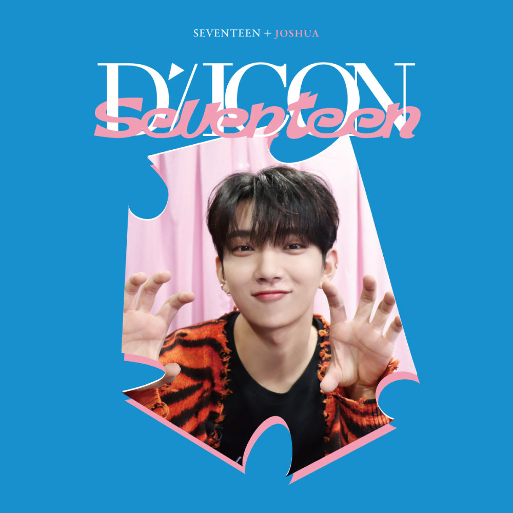 SEVENTEEN | Dispatch 10th Anniversary | DICON D'FESTA MINI EDITION SEVENTEEN
