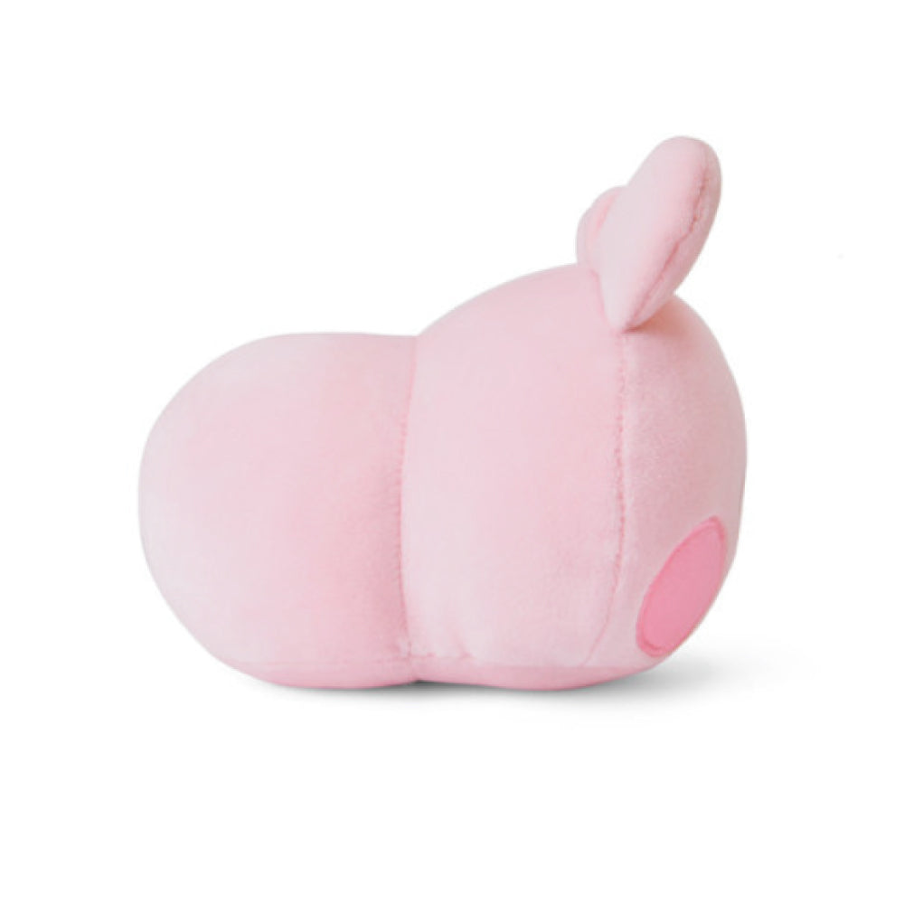 BT21 | minini | PETIT CUSHION