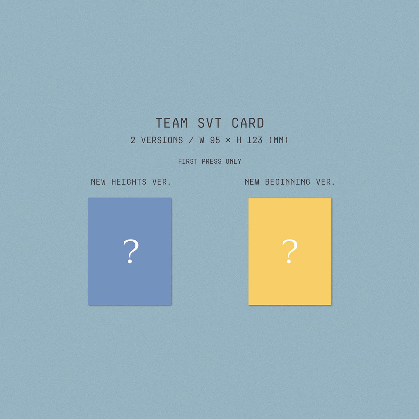 SEVENTEEN | 4th ALBUM REPACKAGE | SECTOR 17
