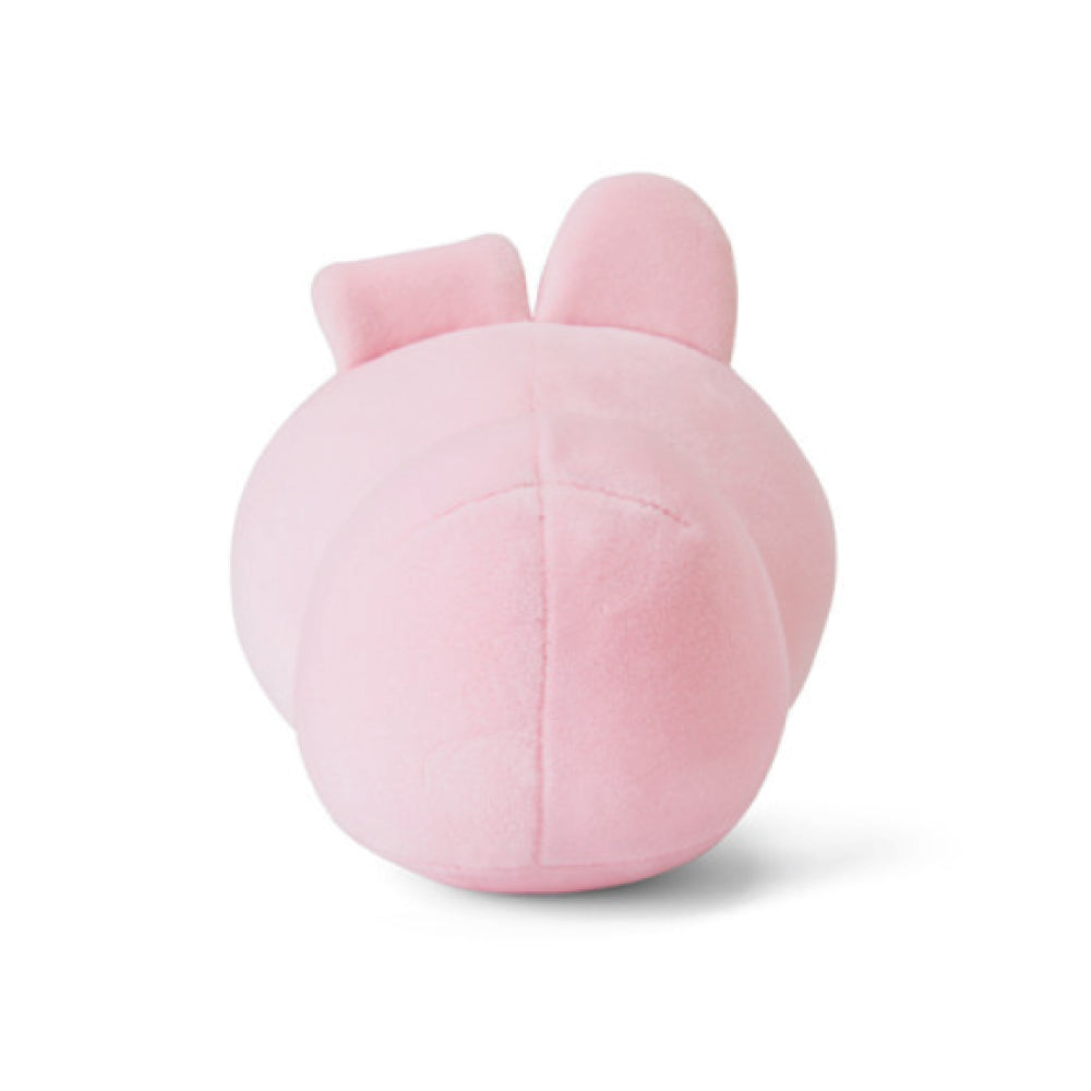 BT21 | minini | PETIT CUSHION